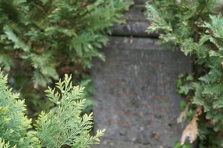 Bad Godesberg
